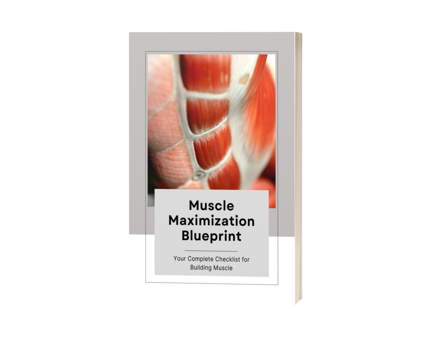 Muscle Maximization Blueprint